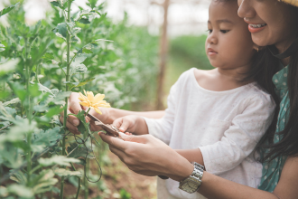 Child with mother in garden, looking at yellow flower
