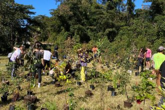 volunteers working
