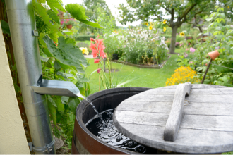 rain barrell