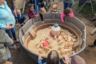 Kids standing around baby animal pen
