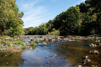 Nature, river and trees