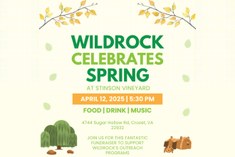 Wildrock celebrates spring graphic