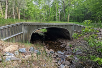 stream bridge