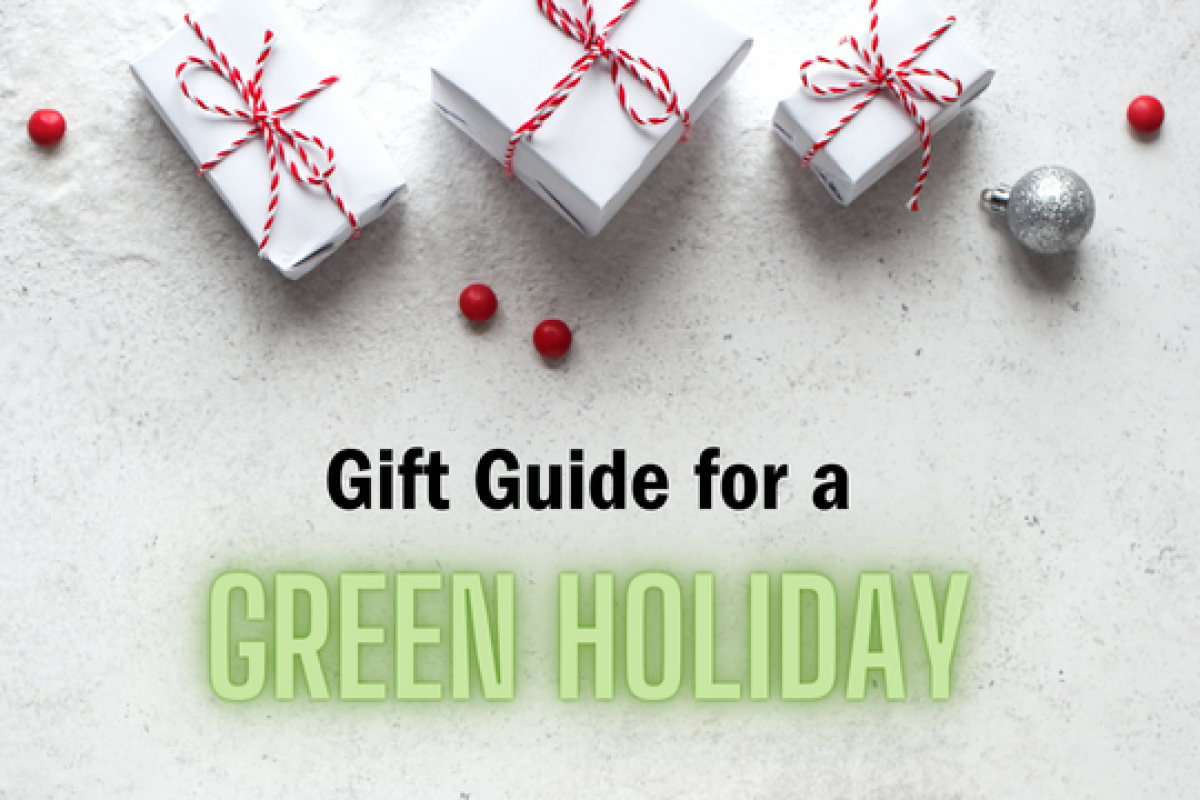 Holiday boxes shown with title Gift Guide for a Green Holiday