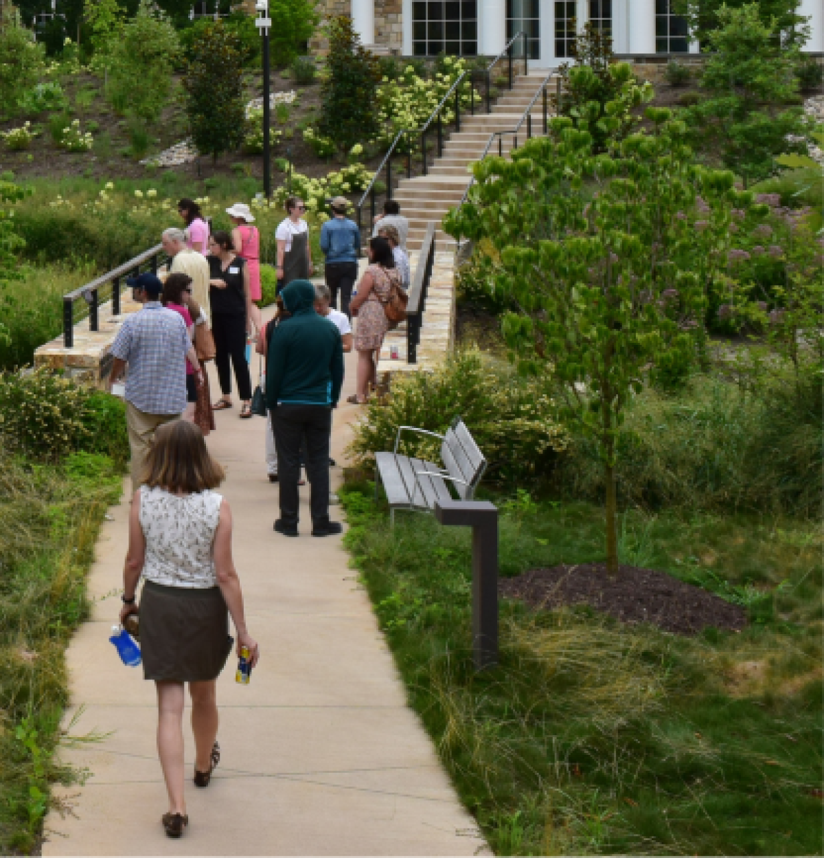 People walking in greenery