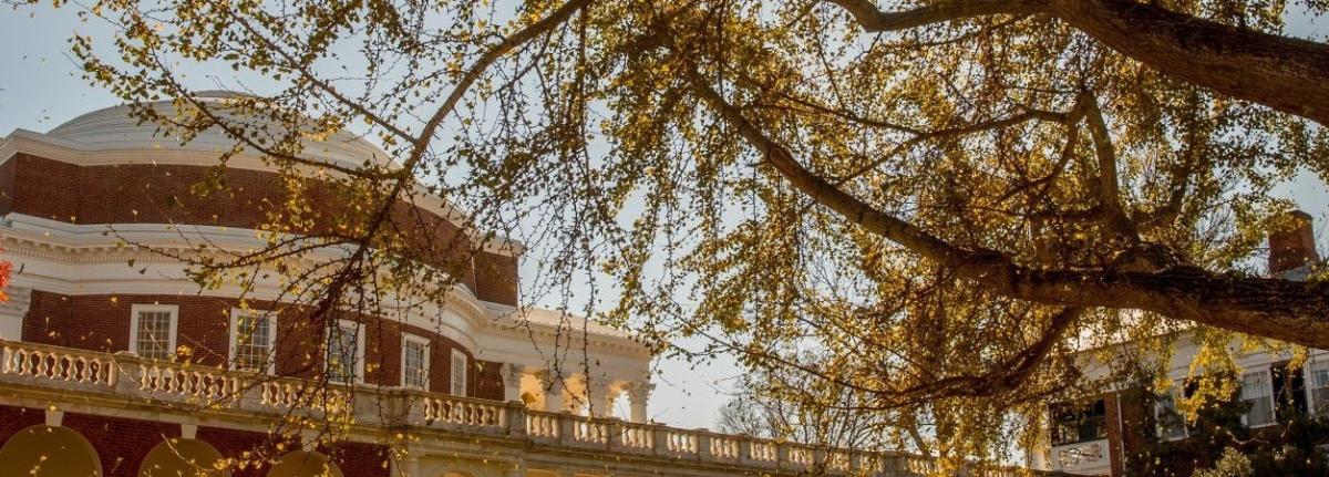 Photo of the Rotunda at UVA with a tree in front of it