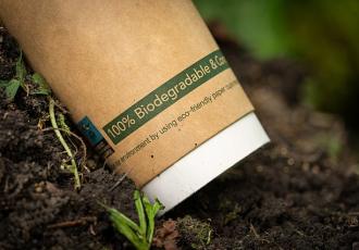 biodegradable cup