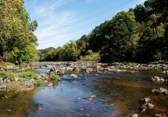 Calm river with rocks cutting between trees