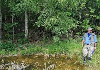 A man stands by a pond surrounded by greenery