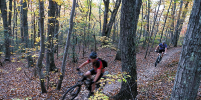 An imagine of 2 mountain bikers riding the biking trails of O'Hill during the fall.