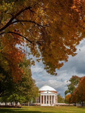 Grounds photo with fall leaves and Rotunda