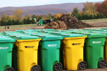 Green and Yellow Black Bear Composting Bins