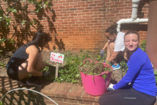 Three volunteers shown gardening